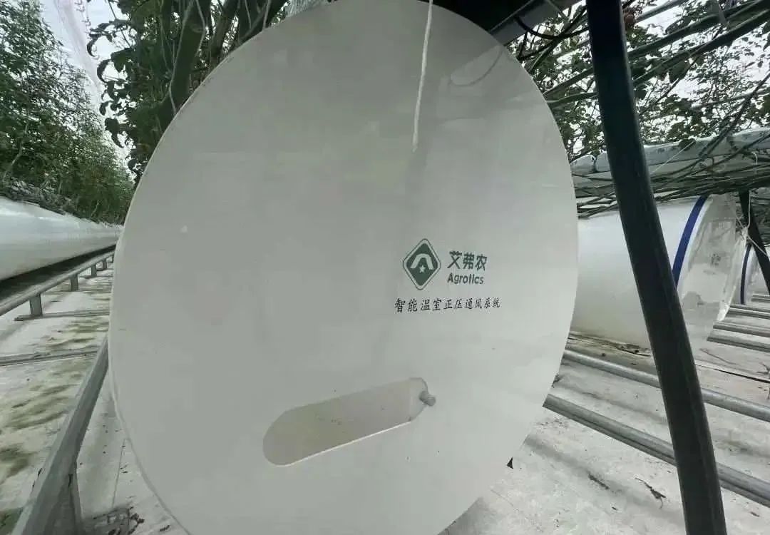 棚內(nèi)28攝氏度！嘉興這里的數(shù)字農(nóng)業(yè)車間很“清涼”