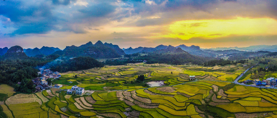 【縣域農(nóng)業(yè)】縣域是未來(lái)農(nóng)業(yè)品牌建設(shè)的主戰(zhàn)場(chǎng)！