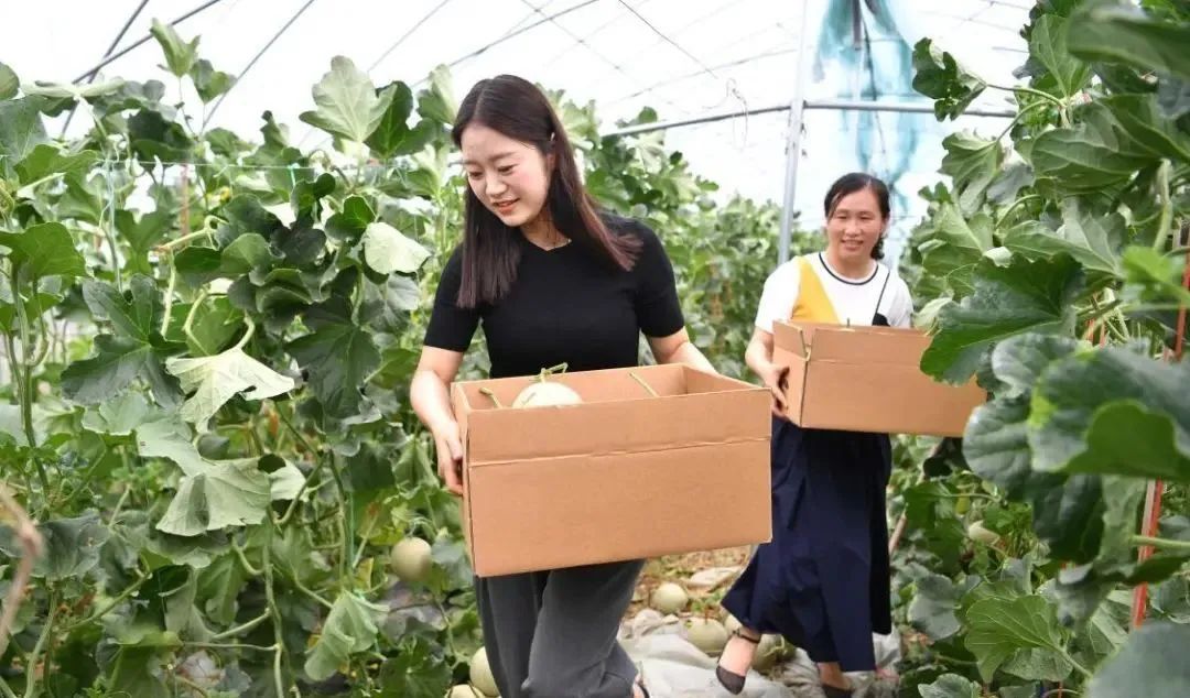 【縣域農(nóng)業(yè)】縣域是未來(lái)農(nóng)業(yè)品牌建設(shè)的主戰(zhàn)場(chǎng)！