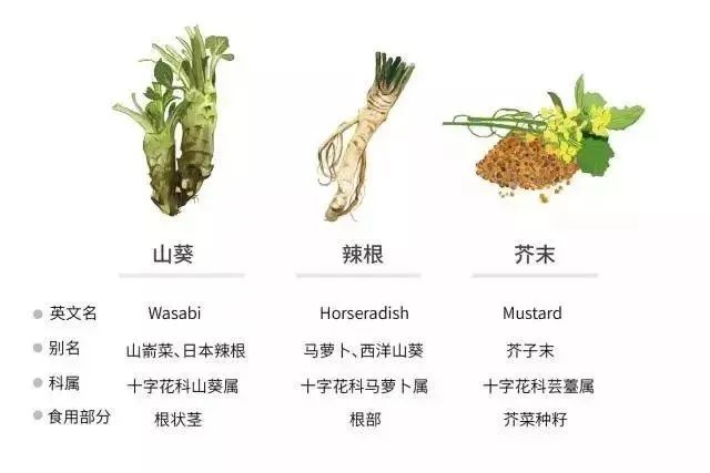 日本百年芥末農(nóng)場(chǎng)：精耕單品，專注美食，以靜制動(dòng)