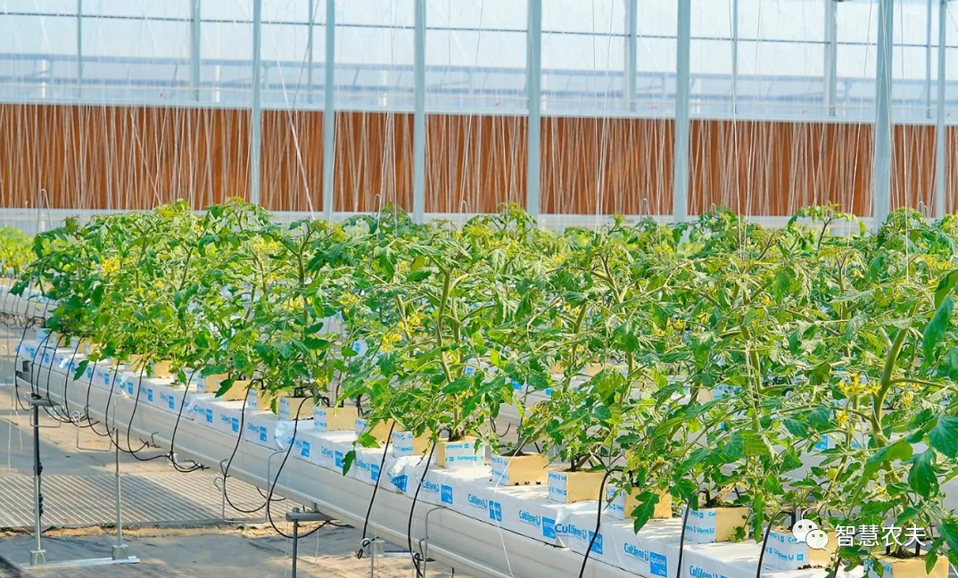 農(nóng)業(yè)部出手，智慧農(nóng)業(yè)將迎來七個方面全面突破！