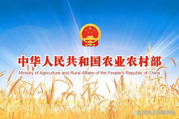 省市縣級農(nóng)業(yè)農(nóng)村大數(shù)據(jù)公共平臺(tái)基座上線