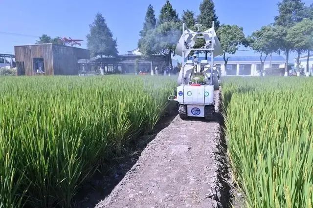 上海獎補無人農(nóng)場建設(shè)