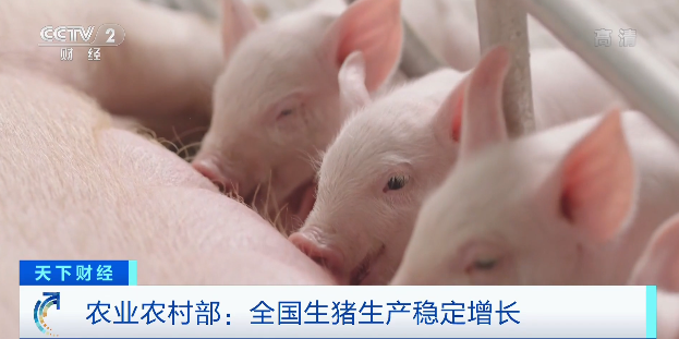 豬肉價(jià)格，為何漲了？接下來(lái)怎么走？農(nóng)業(yè)農(nóng)村部最新回應(yīng)