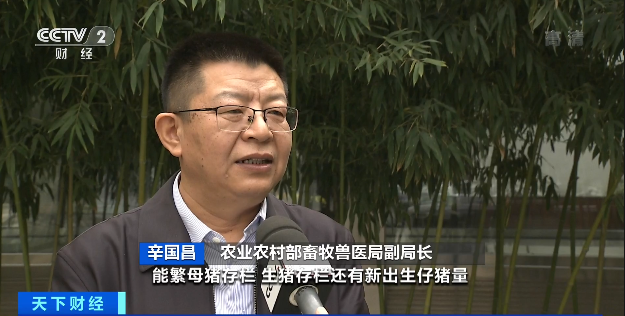 豬肉價(jià)格，為何漲了？接下來(lái)怎么走？農(nóng)業(yè)農(nóng)村部最新回應(yīng)