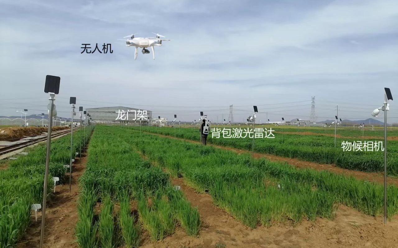 “元宇宙”里也可育種 南京農業(yè)大學數(shù)字技術賦能農業(yè)科研