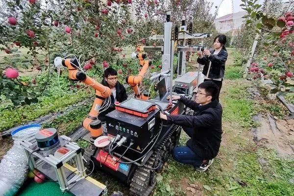 農(nóng)業(yè)機器人來到應(yīng)用窗口期，助力未來百億人口糧食安全
