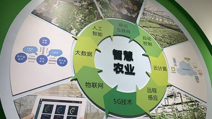 基礎設施薄弱掣肘智慧農(nóng)業(yè) 中國電信5G云網(wǎng)破難題