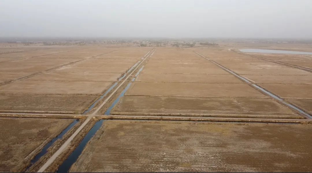 陜西榆林：6000余畝高標準農(nóng)田，緣何撂荒7年？