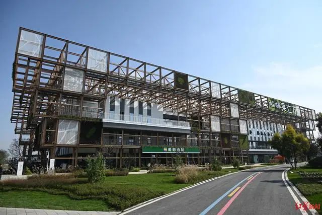 3.36億畝近8億噸！《2023年中國(guó)蔬菜產(chǎn)業(yè)發(fā)展報(bào)告》發(fā)布